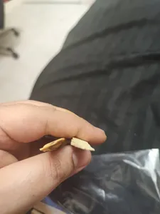 تجریه خرید عود پالو سانتو مدل آمازونیان بسته 5عددی