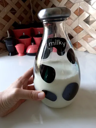 بطری شیر کد 11200085