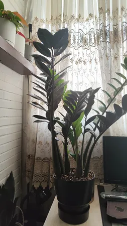 گلدان مدل دهکده کد 18