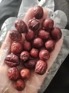 تجریه خرید عناب 125 - 250 گرم