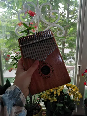 کالیمبا جکو مدل K17M
