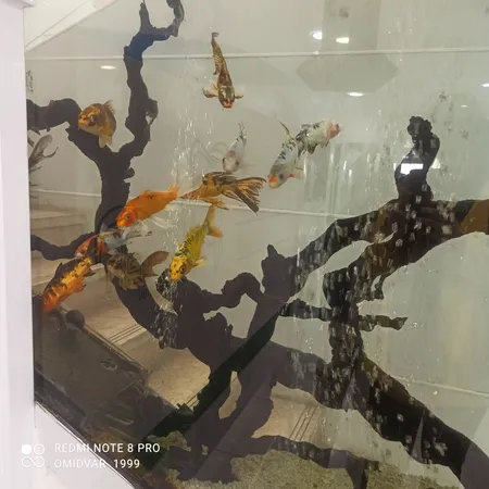 سرویس پارچ و لیوان هفت پارچه مجستیک مدل لب طلا