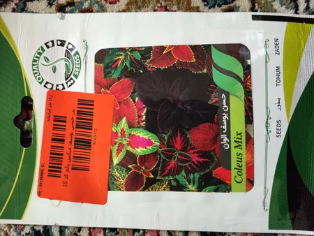 بذر حسن یوسف میکس پالم کد 15