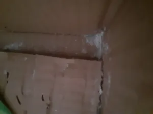 تجریه خرید پودر بوراکس ساخت ژل بازی شاپرک کد B80