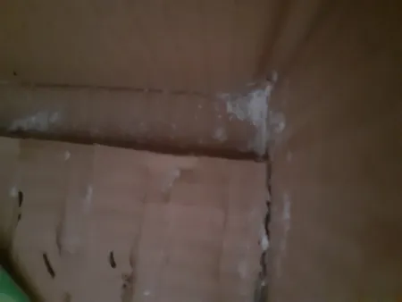 پودر بوراکس ساخت ژل بازی شاپرک کد B80