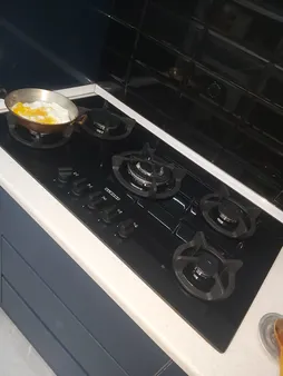 اجاق گاز صفحه ای استیل البرز مدل G-5954i