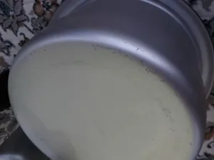 تجریه خرید پلوپز پارس خزر مدل 271 TS