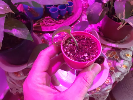 گلدان کلاسیک مدل G3006 مجموعه 10 عددی