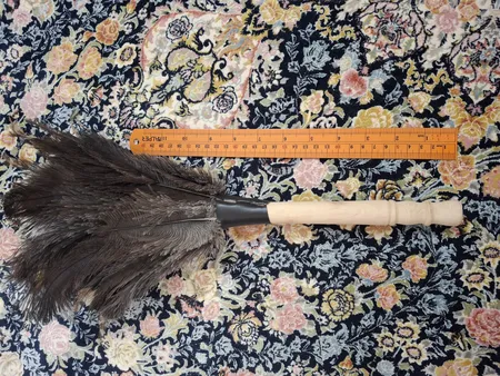 گردگیر Feather world کد 6