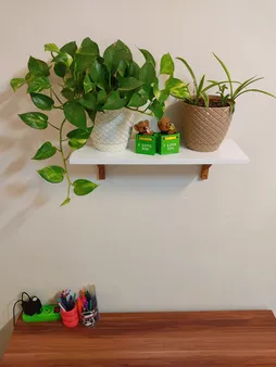 شلف دیواری سنجاب وود مدل sw14