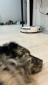 تجریه خرید جارو رباتیک شیائومی مدل Vacuum S20 Plus