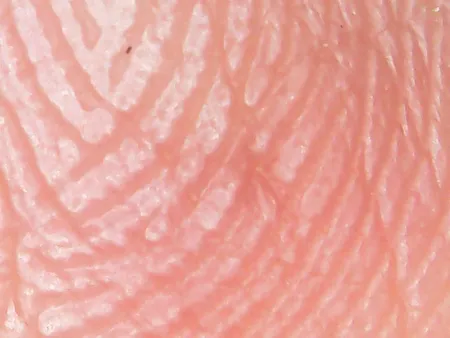 میکروسکوپ دیجیتال مدل 1000X