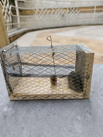 تله موش مدل قفسی