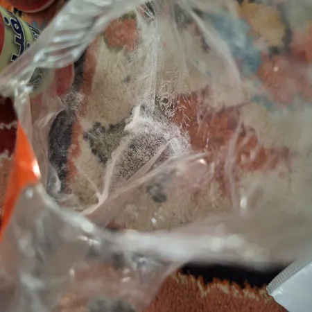 پودر بوگیر کفش سفیر کد 18452 بسته 3 عددی