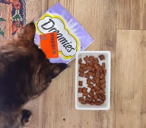 تجریه خرید غذای تشویقی گربه دریمز مدل Snack With Duck وزن 60گرم