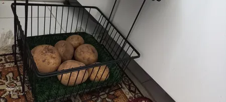 سبد سیب زمینی و پیاز مدل 3M4033