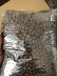 تجریه خرید غذای خشک گربه مدل prosa وزن 1 کیلوگرم