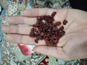 تجریه خرید زرشک دانه اناری 125 - 250 گرم