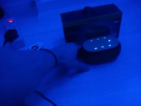 اسپیکر بلوتوثی قابل حمل آوی مدل Y200