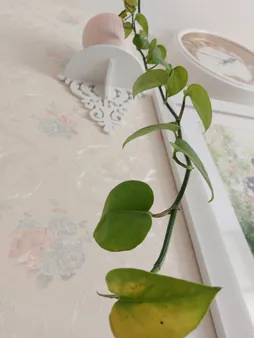 شلف دیواری مدل 20