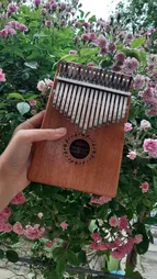 کالیمبا جکو مدل K17M