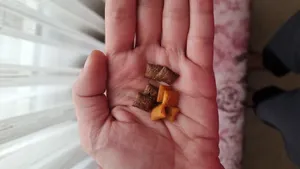 تجریه خرید غذای تشویقی گربه دریمز مدل Snack With Beef and Chese وزن 60 گرم