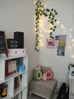 ریسه ال ای دی مدل سوزنی طرح پر طول 10 متری