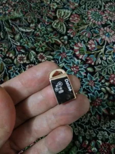 تجریه خرید فلش مموری دیتا پلاس مدل GIFT ظرفیت 64 گیگابایت