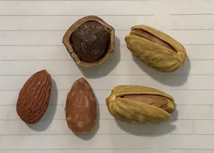 تجریه خرید آجیل ممتاز صادراتی آنید - 400 گرم