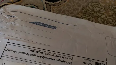 مو زن بینی و ابرو فلاولس مدل 18k