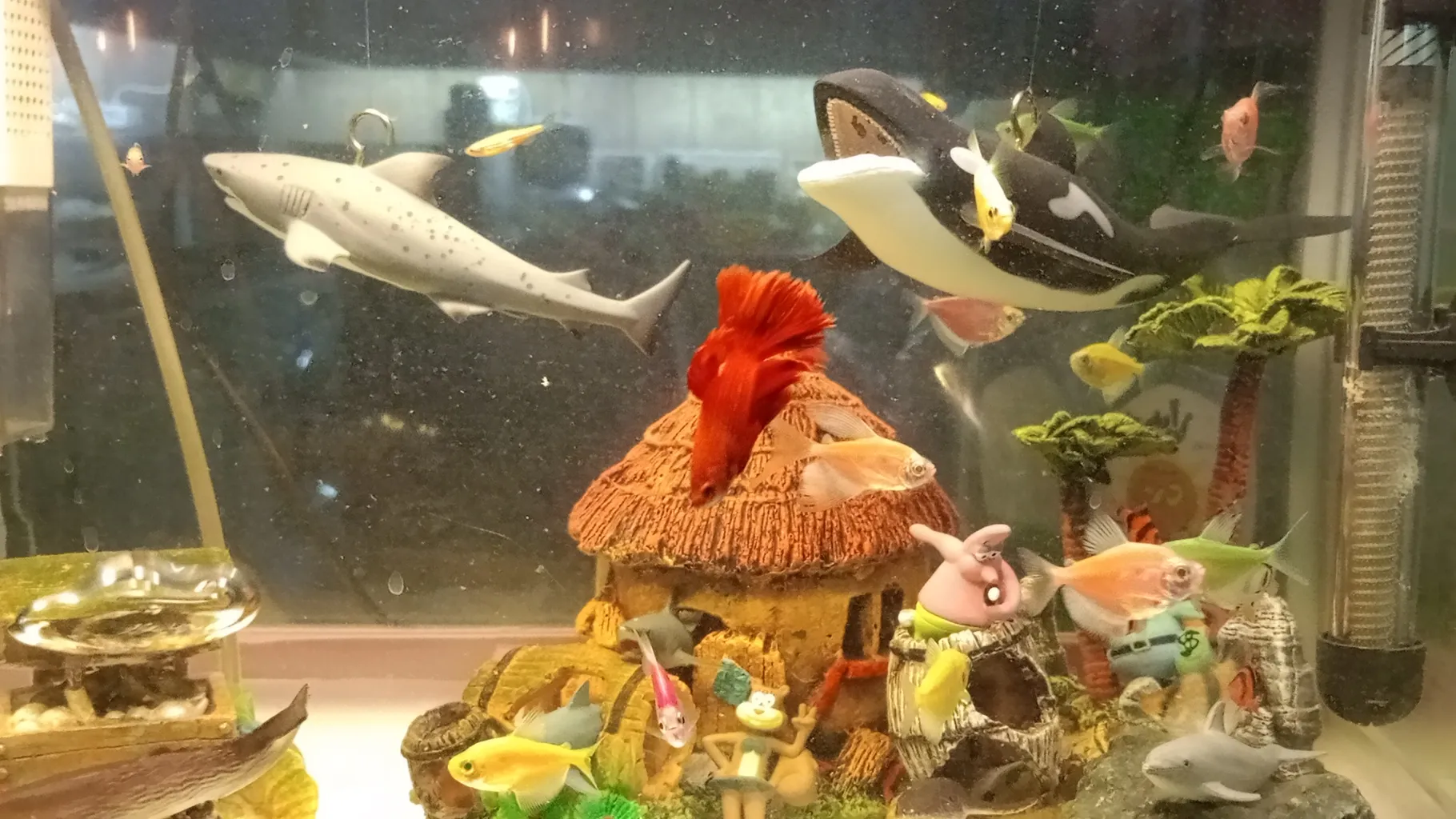 فیگور طرح حیوانات دریایی مدل نهنگ قاتل کد 09090