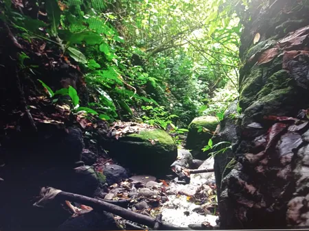 مانیتور 27 اینچ ال جی مدل 27MP400-B