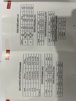 ترازو دیجیتال سینوکر مدل  BL-2675