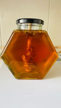عسل طبیعی فاخر ایرانی - 1 کیلوگرم