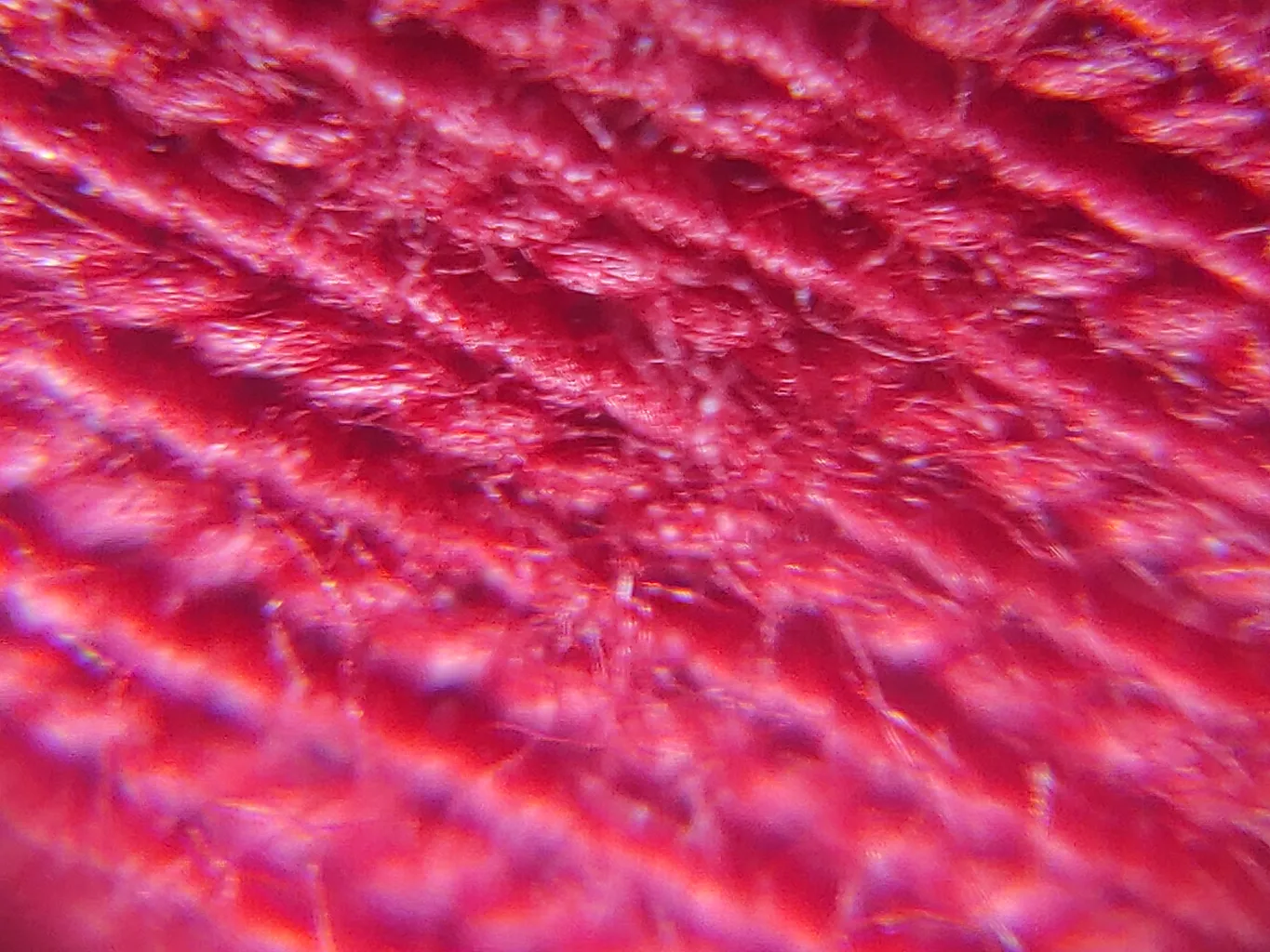 میکروسکوپ مدل FLW-ZX60