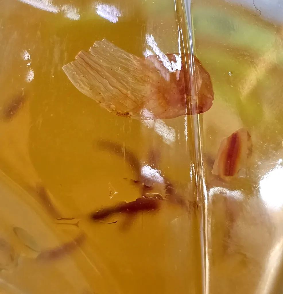 زعفران ویژه زرشا - 4.608 گرم