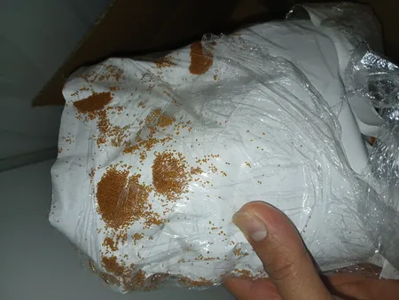 خاکشیر زرین برکت - 1 کیلوگرم