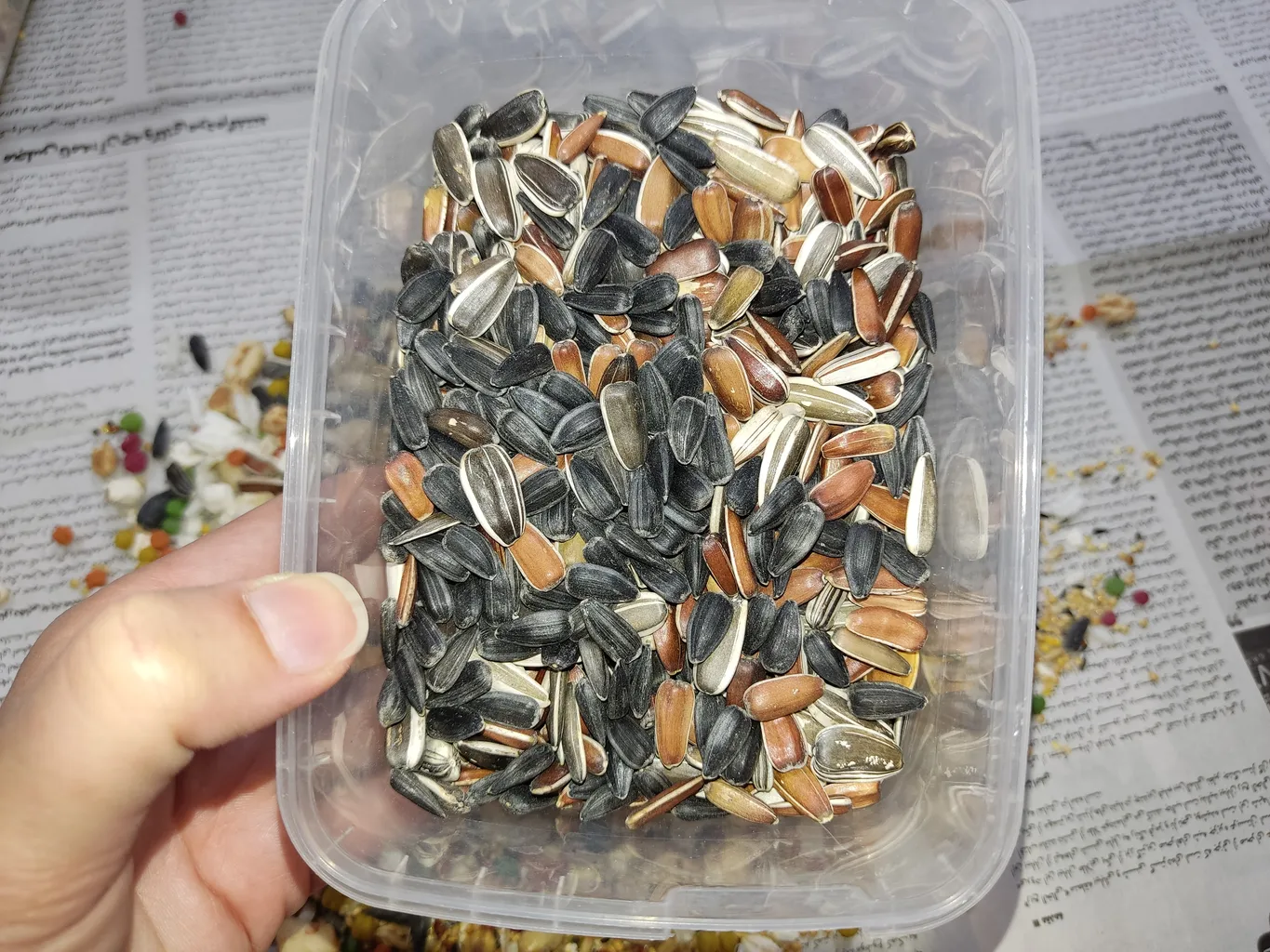 غذای خشک طوطی عروس هلندی مای برد مدل پلاس کد Cockatiel+1 وزن یک کیلوگرم