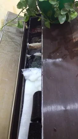 ابر فیلتر آکواریوم اکسیر مدل 61235 مجموعه 5 عددی