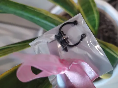 پیرسینگ بینی زنانه پایتخت مدل PS209