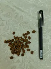 تجریه خرید غذای خشک سگ نژاد کوچک رفلکس مدل chichen and rice  وزن 3000 گرم