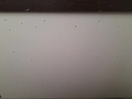 تخت خواب دو طبقه کد SP32 سایز 90x200 سانتیمتر
