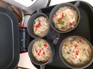 تجریه خرید ساندویج ساز سانیز مدل لقمه ای