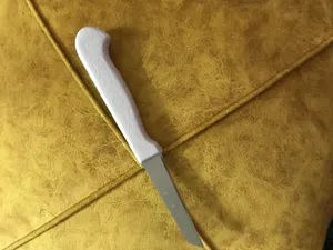 تجریه خرید کارد میوه خوری رومانتیک هوم کد Q.S.S.E.Zبسته 12 عددی