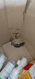 تجریه خرید کرم ترمیم کننده پوست الی ژن مدل اسکارفیت حجم 30 میلی لیتر