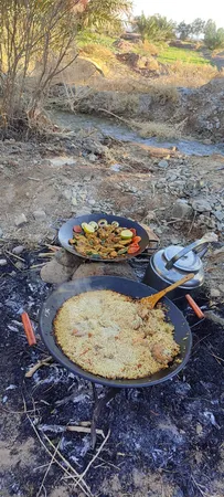 ساج سفری مدل 01