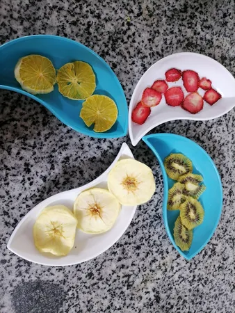 میوه و سبزی خشک کن سایا مدل GP 103