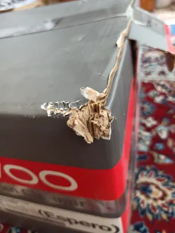 جاروبرقی ۱۴۰۰ وات دوو مدل DVC-LH22R