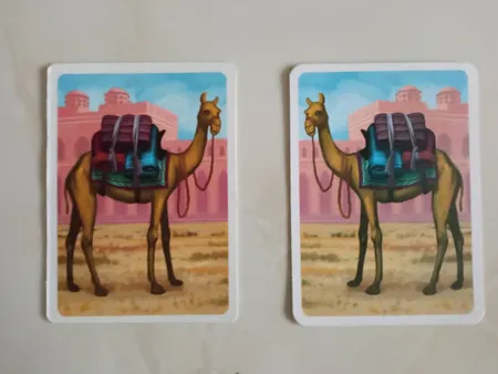 بازی فکری بازی کن مدل Jaipur