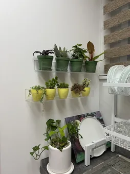 شلف دیواری مدل S20-1